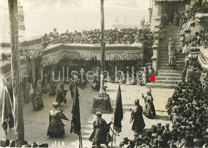 (c) ullstein bild - Haeckel Archiv
