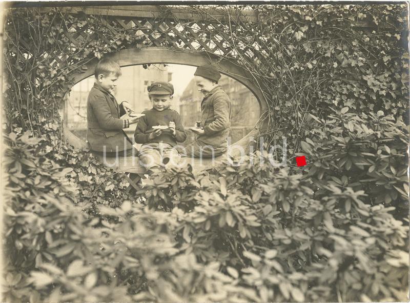 (c) ullstein bild - Haeckel Archiv