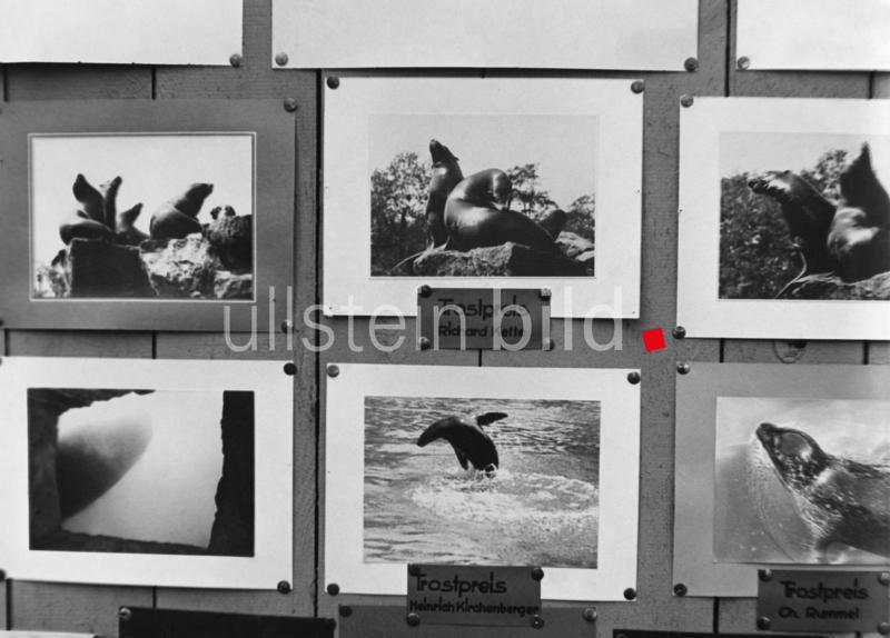 (c) ullstein bild - Friedrich Seidenstücker