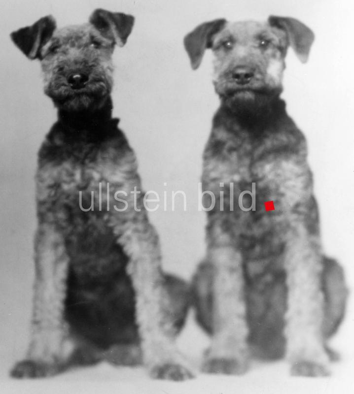 (c) ullstein bild - Karl Schenker