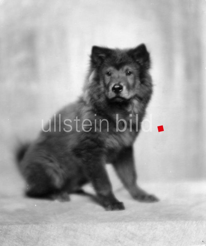 (c) ullstein bild - Karl Schenker